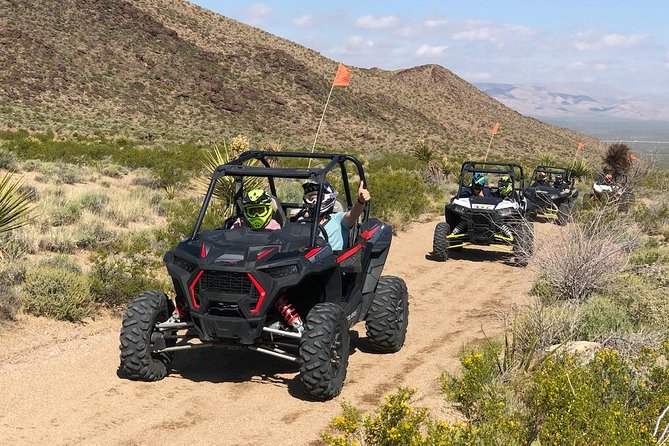 Top pick RZR Tour