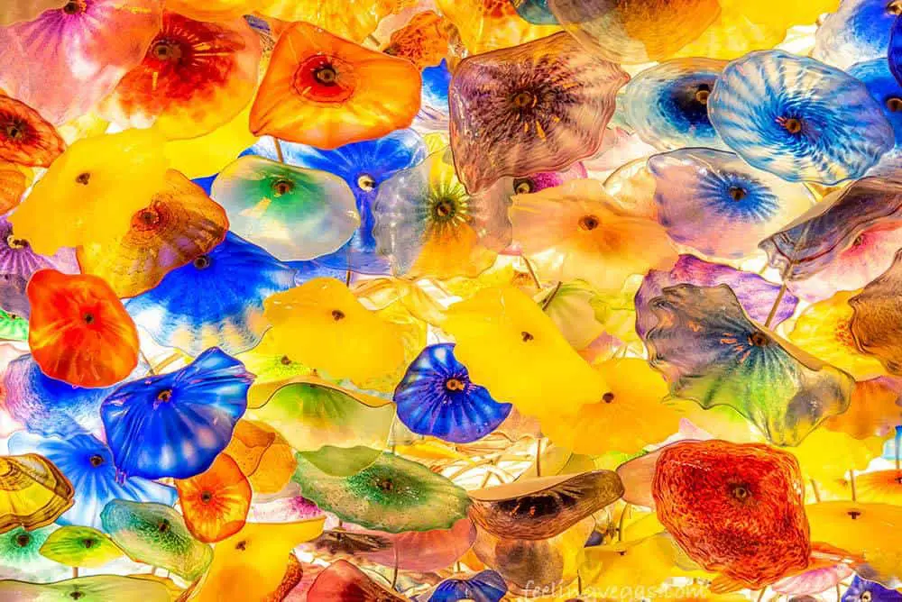 Things to Do in Las Vegas With Kids (44 Vegas Family Attractions) 12 Glass ceiling at the Bellagio