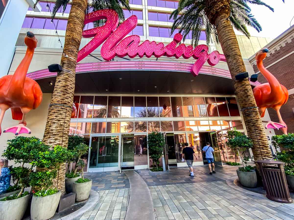 The Flamingo Hotel: A bargain in the heart of Las Vegas 1 You can find cheap rooms at the Flamingo Las Vegas