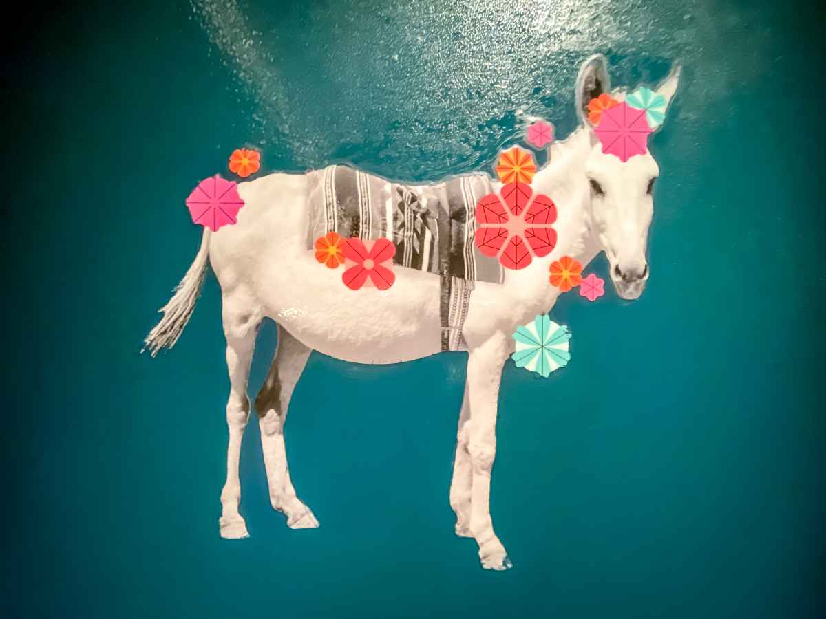 Ghost Donkey: How To Find It, Dress Code, Menu (Hidden Vegas) 1 Does Ghost Donkey Have a Dress Code