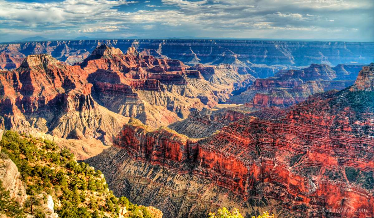 Can You Drive From Vegas to the Grand Canyon at Night? 3 How To Drive to the Grand Canyon at Night