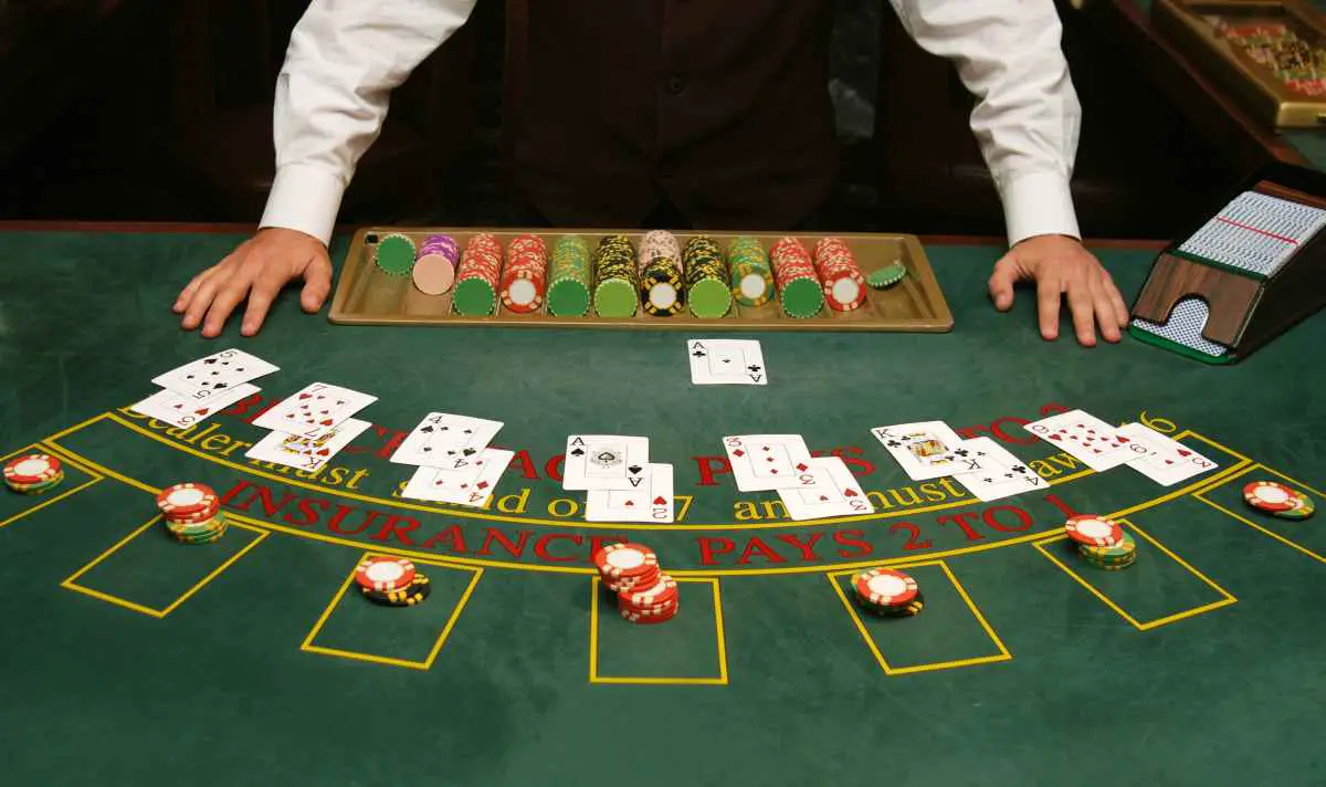 newbie gambler