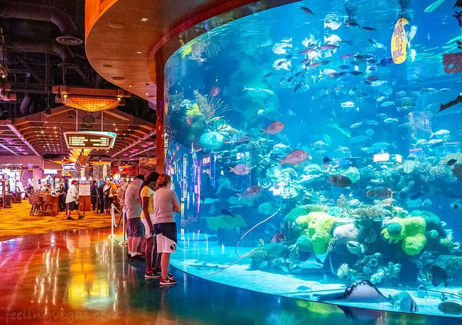 30 Best FREE Things to Do In Vegas 2025 (Free Attractions) 12 silverton hotel aquarium