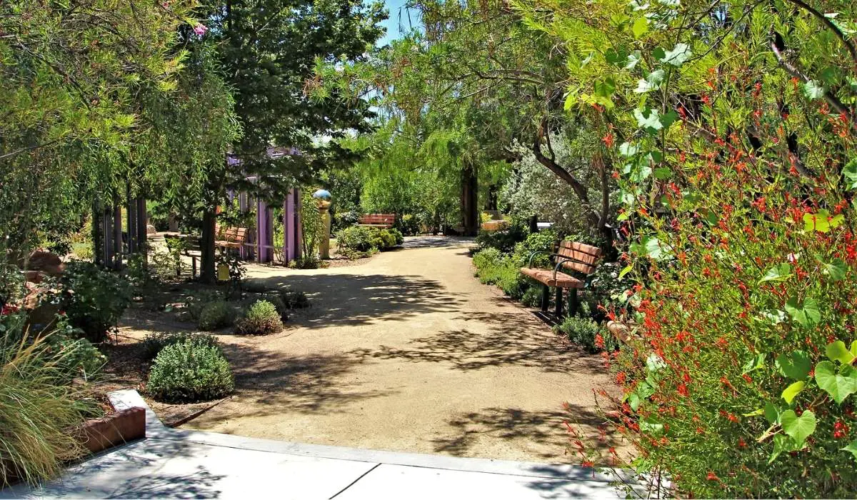 What Made Las Vegas an Attractive Stopover (Natural Springs)